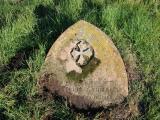 image of grave number 809565